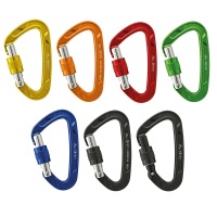Aliens D Screw Classic Karabiner